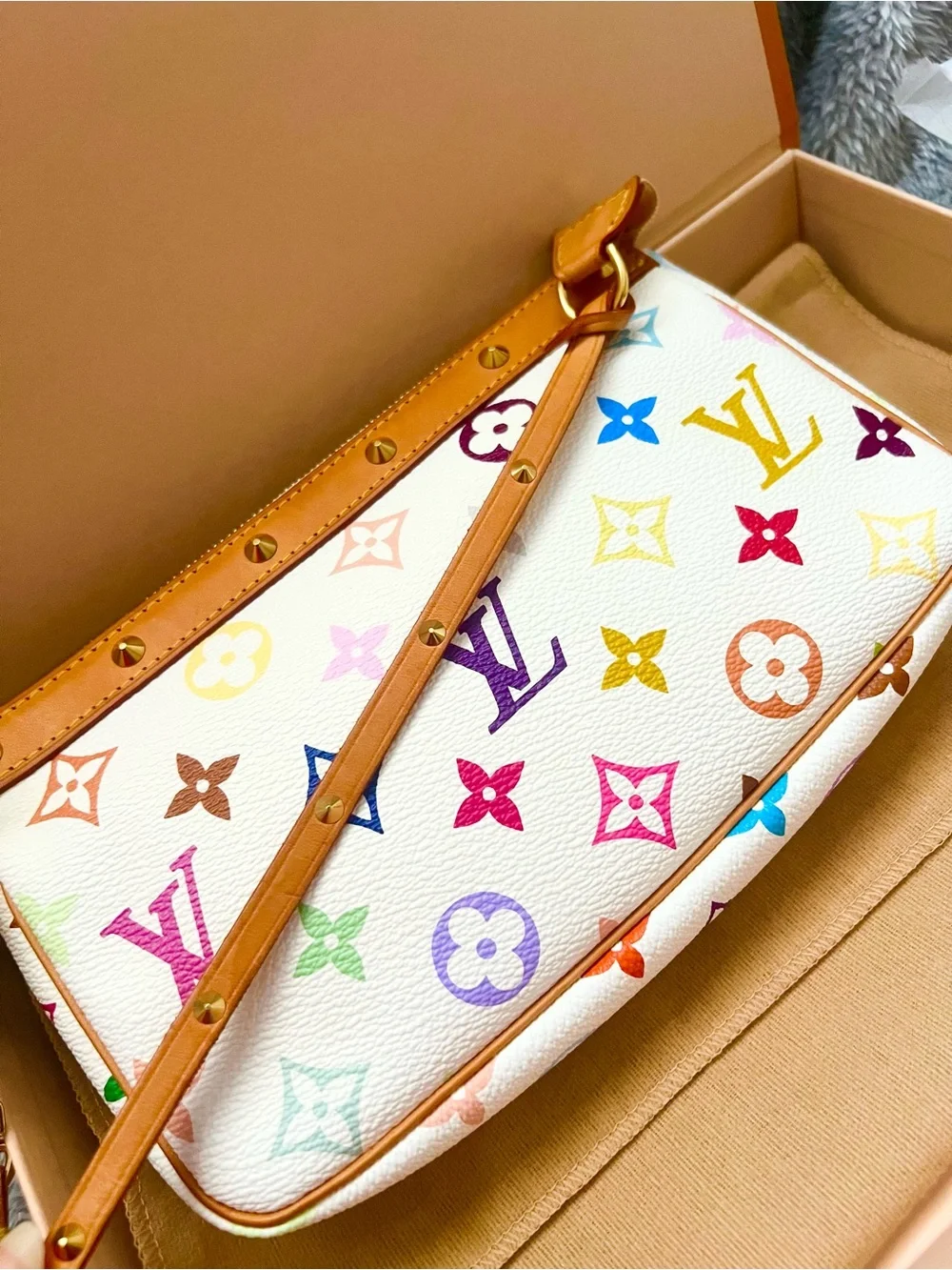Louis Vuitton multicolor Pochette
